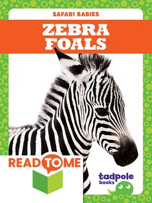cover image of Zebra Foals
